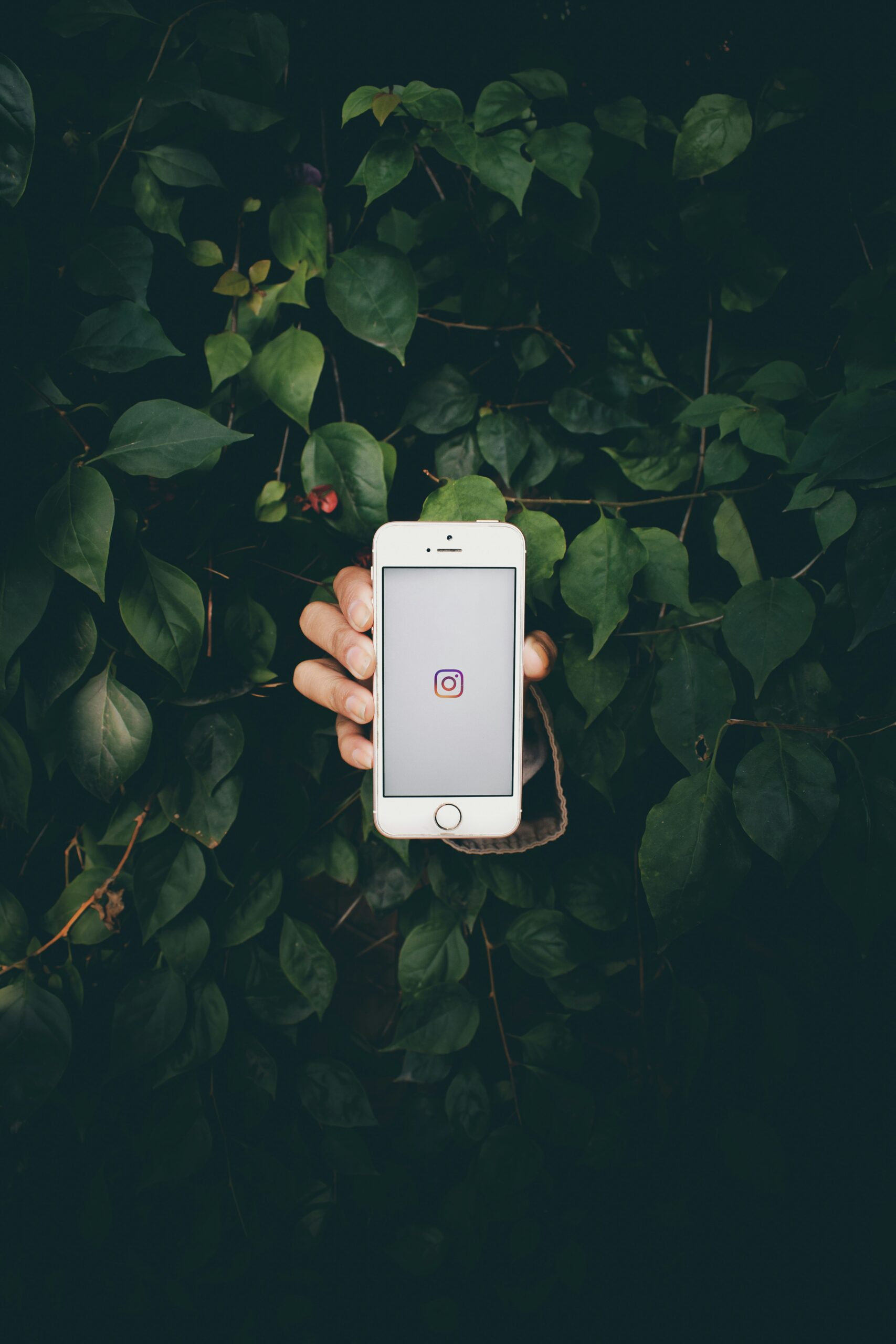 instagram